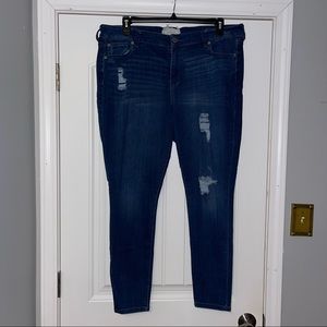 Plus Size Jeans